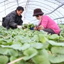 다목농장 이미지