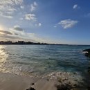 12월 8일 제주 함덕해수욕장 이미지