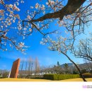 연지공원 이미지