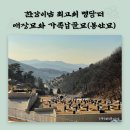 한낮의햇살 주식회사 이미지