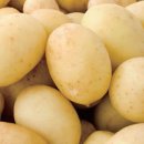 감자의 효능 감자 1개 칼로리 감자 100g 탄수화물 함량 이미지