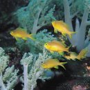 아름다운바다 이미지