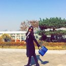 박솔미 카카오 검색결과
