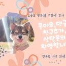 하루파출 이미지