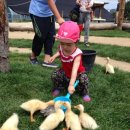 박씨농장 2 이미지