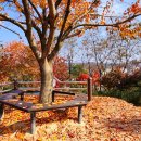 대동행정사사무소 이미지