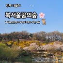 세븐일레븐도봉개나리공원점 | [강북 나들이] 북서울꿈의숲 -벚꽃도 예쁘지만 개나리도 예쁘네 (26.04.04 개화 상황, 주차요금, 벚꽃...