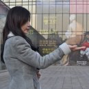 아네스아뜰리에 | 앵그르에서 칸딘스키까지/필립스컬렉션전,예술의 전당