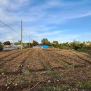 남원읍-4 이미지