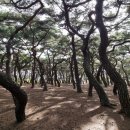 육통2리 이미지