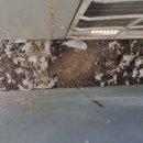 진달래마을 효성센트럴 이미지