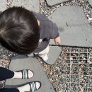 서울근교글램핑 김포캠핑장 카라반 숙박 후기 / 김포한강오토캠핑장
