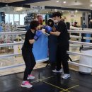 더 복싱 짐'엘' 이미지