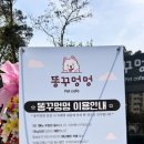 똥꾸멍멍 이미지