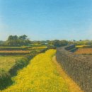 꿈꾸는 별빛영화관( 이미지