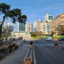 노전초등학교 앞 이미지