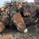 (주)영일우드 이미지