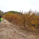 숲실경로당 이미지