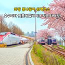 세븐일레븐 의왕레솔레파크점 | 의왕왕송호수공원 벚꽃 실시간 레솔레파크 의왕레일바이크 스카이레일