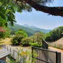 전원당구장 이미지