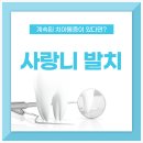 비엘치과의원 이미지