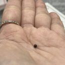 구심당약국 | 일본 구심 기대 안 했는데 완전 달랐어요, 직구 후기와 복용법