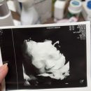 도로시여성의원 이미지