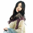 도진컴퍼니 네이버블로그