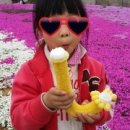 금잔디농원 이미지