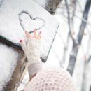 그늘과 빛의 기억 이미지