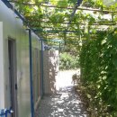 이태백야영장 이미지