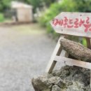 메종드롸루코 이미지