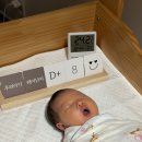 에덴모자 | 에덴병원 산후조리원 특실 후기