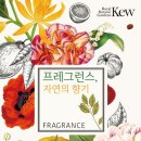 자연의 향기 이미지