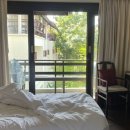 세렌의정원 이미지