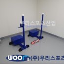 안중 체육관 이미지