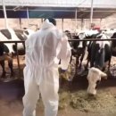 신성목장 이미지