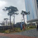 송도힐스테이트 어린이집 이미지