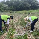 천지농협 이미지