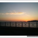 강아지왈츠 이미지