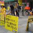 노원문화의거리 이미지