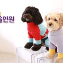 문멍 네이버블로그
