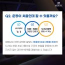 히트앤핏 목동 키즈 MMA 주짓수 이미지