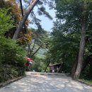 진태상회 이미지