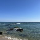 비놀리안 이미지