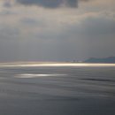 으뜸울금농장 이미지