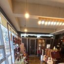 바이올린 (A) | [마포 악기]엘가뮤직: 바이올린 구매 후기