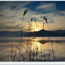 문의중학교 이미지