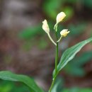 금남초등학교 이미지