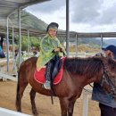 인제16-2 이미지